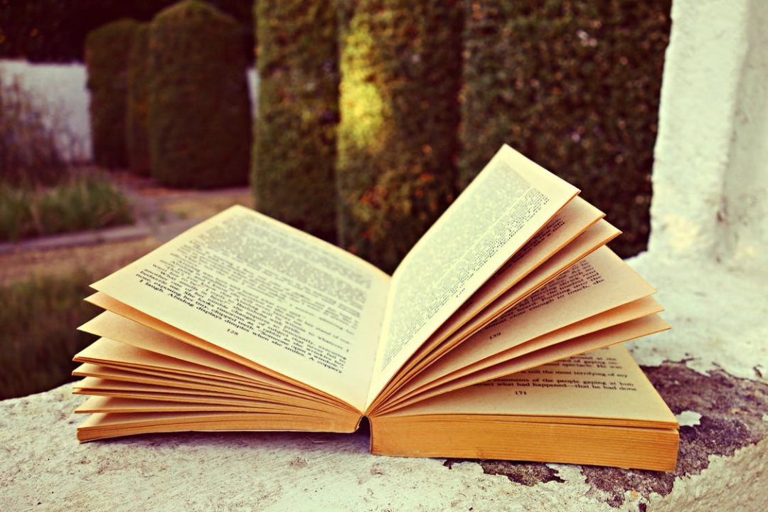 language tuition